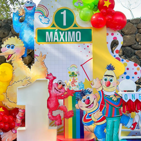 Sesame Street 1st birthday