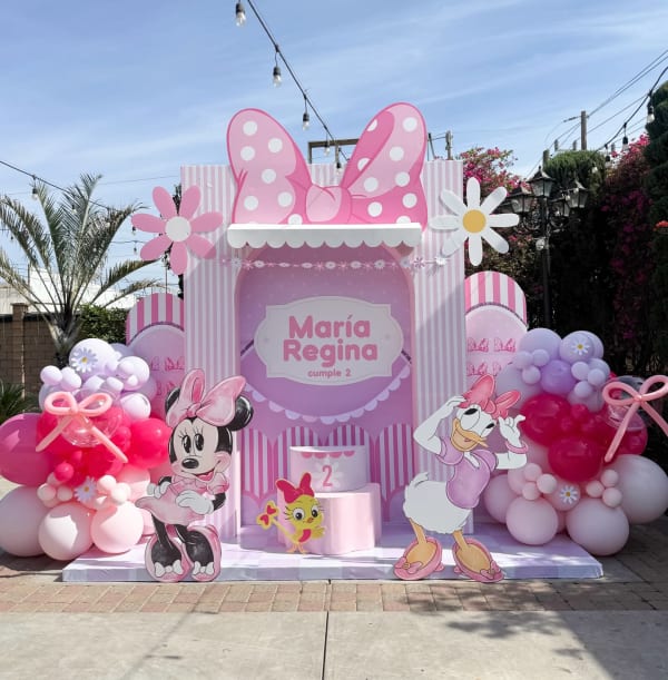 Minnie and Daisy 2nd birthday