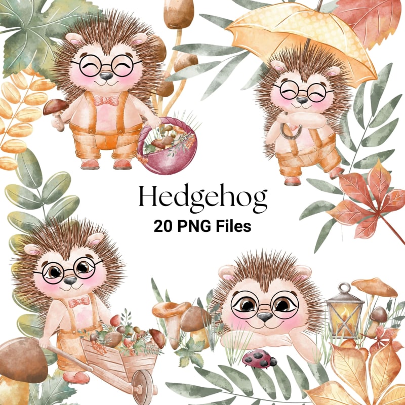 Hedgehog Woodland Watercolor Clipart Bundle Autumn Forest Animal PNG (Digital Download)