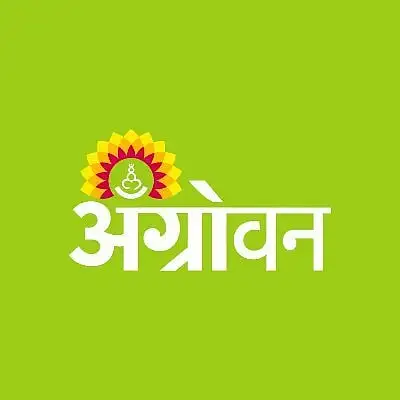 [महाराष्ट्र] सोयाबीन काढणीचा खर्च उत्पादनापेक्षा अधिक झाल्याने शेतकरी संकटात