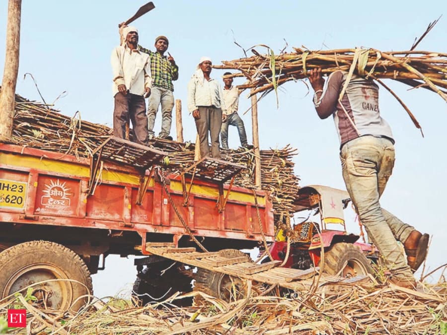 [महाराष्ट्र] शेतकऱ्यांचा लवकर गाळपाला विरोध, उच्च किमतींची मागणी