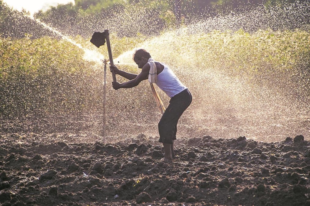 आरबीआयचा अहवाल: भारताची ग्रामीण अर्थव्यवस्था पावसाच्या लहरीपणापासून स्वतंत्र होत आहे