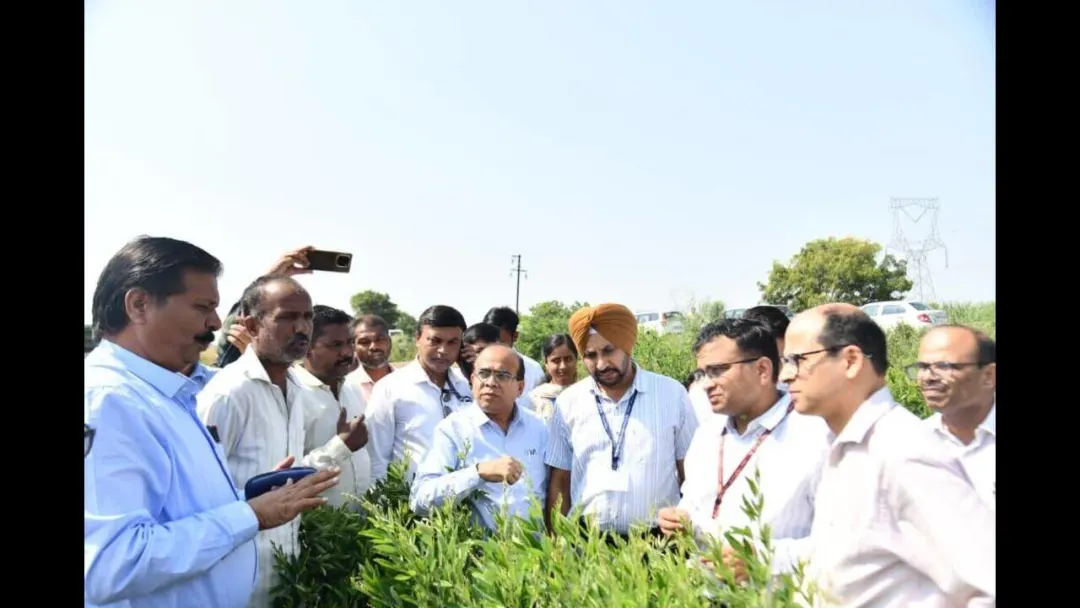 दुष्काळ आणि कमी पाणीसाठ्यामुळे केंद्रीय पथकाचा मराठवाड्यातील शेतांचा दौरा