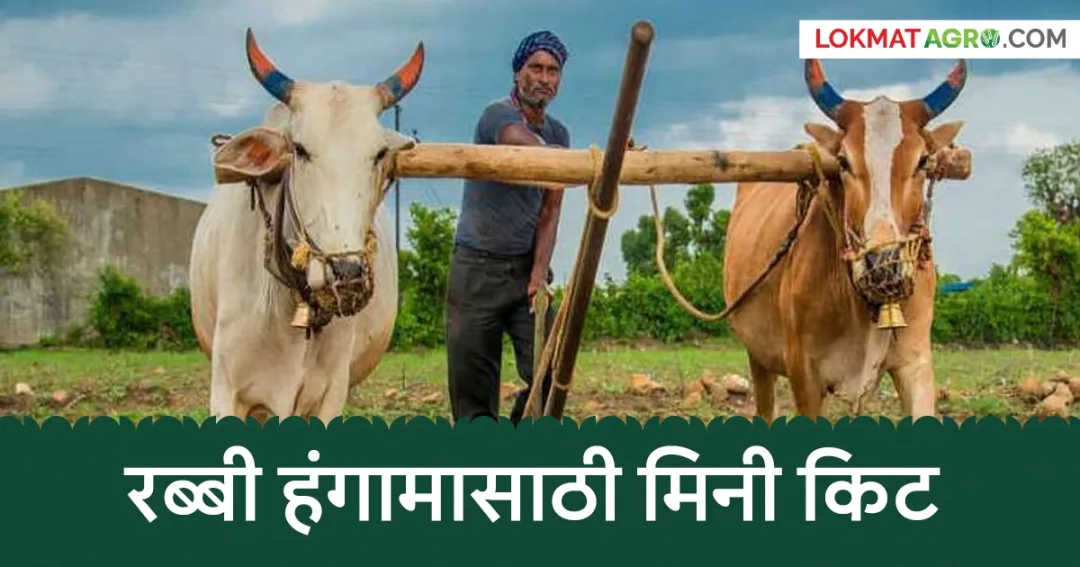 महाराष्ट्र शासनाचे महाडीबीटी पोर्टलवर रब्बी हंगामासाठी मोफत बियाणे किट अर्ज सुरू
