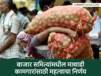 कांदा आणि बटाट्याच्या गोण्यांचे वजन ५० किलोपर्यंत मर्यादित करण्याचा निर्णय