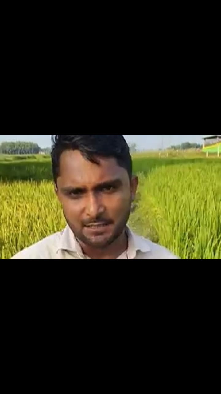 अन्न सुरक्षा व हमीभाव: देशभरात धान खरेदीला सुरुवात, बाजार समित्यांमध्ये नवीन खरेदी केंद्र सुरू