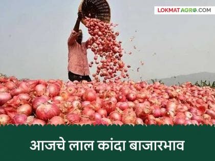 महाराष्ट्रातील प्रमुख बाजार समित्यांमध्ये कांद्याच्या दरात चढ-उतार