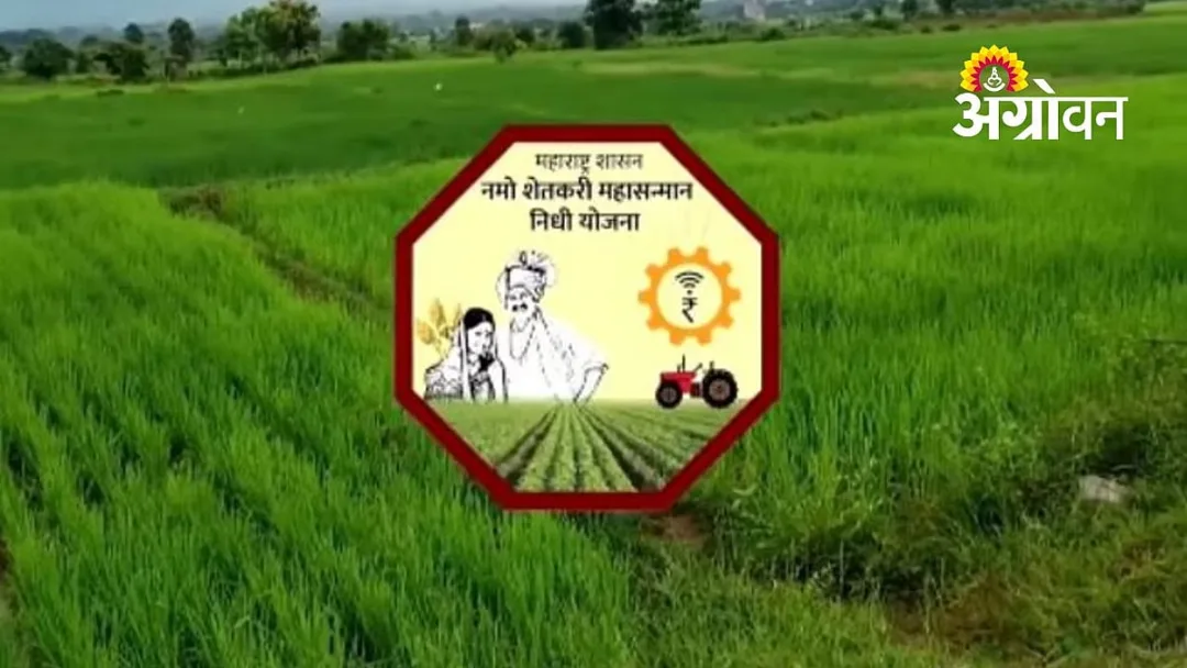 नमो शेतकरी योजनेचे प्रलंबित हप्ते लवकरच मिळणार, उपमुख्यमंत्री फडणवीसांचे आश्वासन