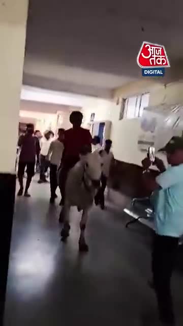 महाराष्ट्र: चंद्रपूर येथे कर्जमाफी आणि शासकीय मदतीसाठी शेतकऱ्याचे तहसील कार्यालयात आंदोलन
