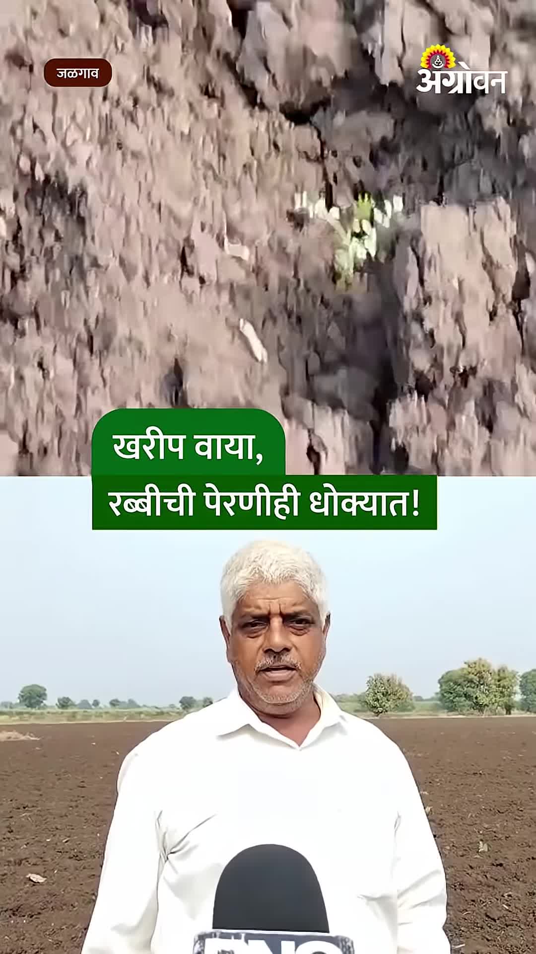 चोपड्यात खरीप हंगामानंतर रब्बीही धोक्यात; हरभऱ्याची उगवण रखडली, शेतकरी दुहेरी संकटात
