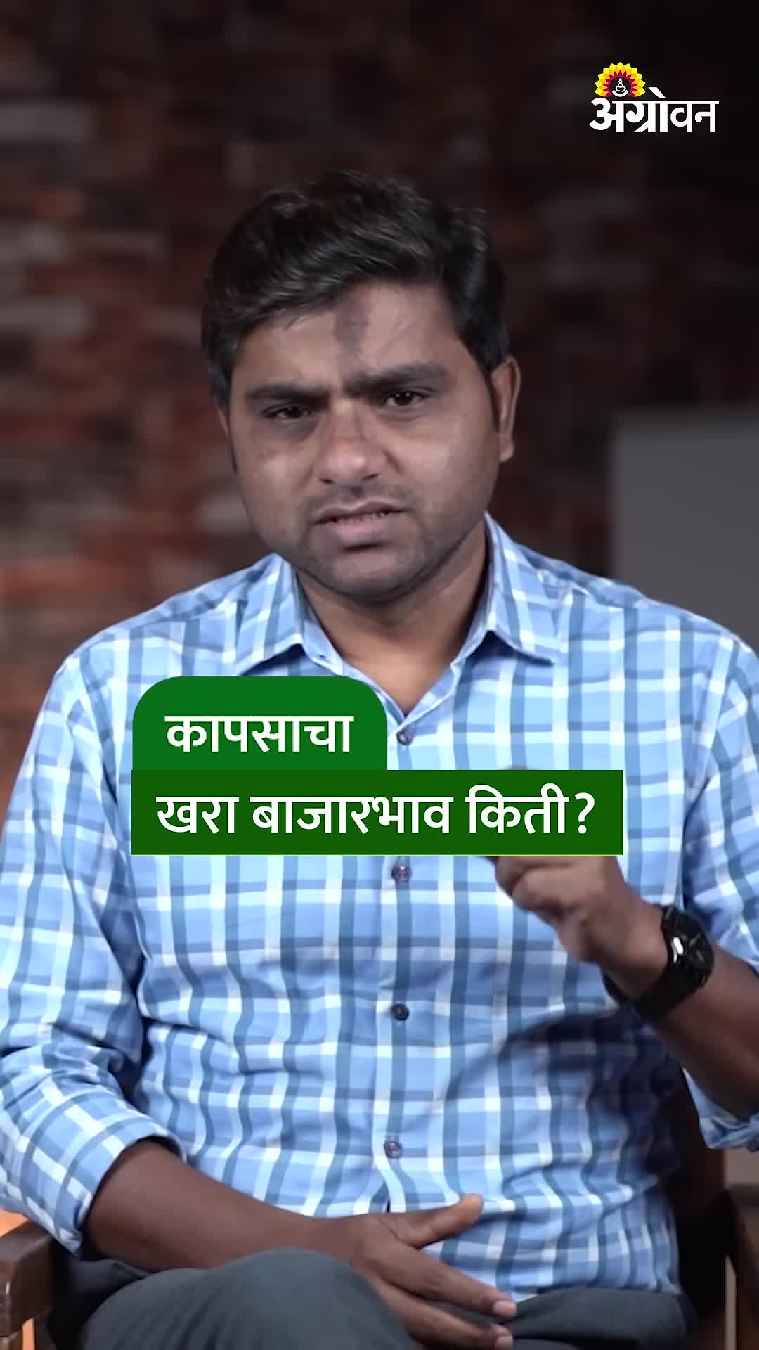 कापसाला कुठे मिळतोय ११ हजारांचा भाव? राज्यातील बाजार समित्यांचे सरासरी दर काय?