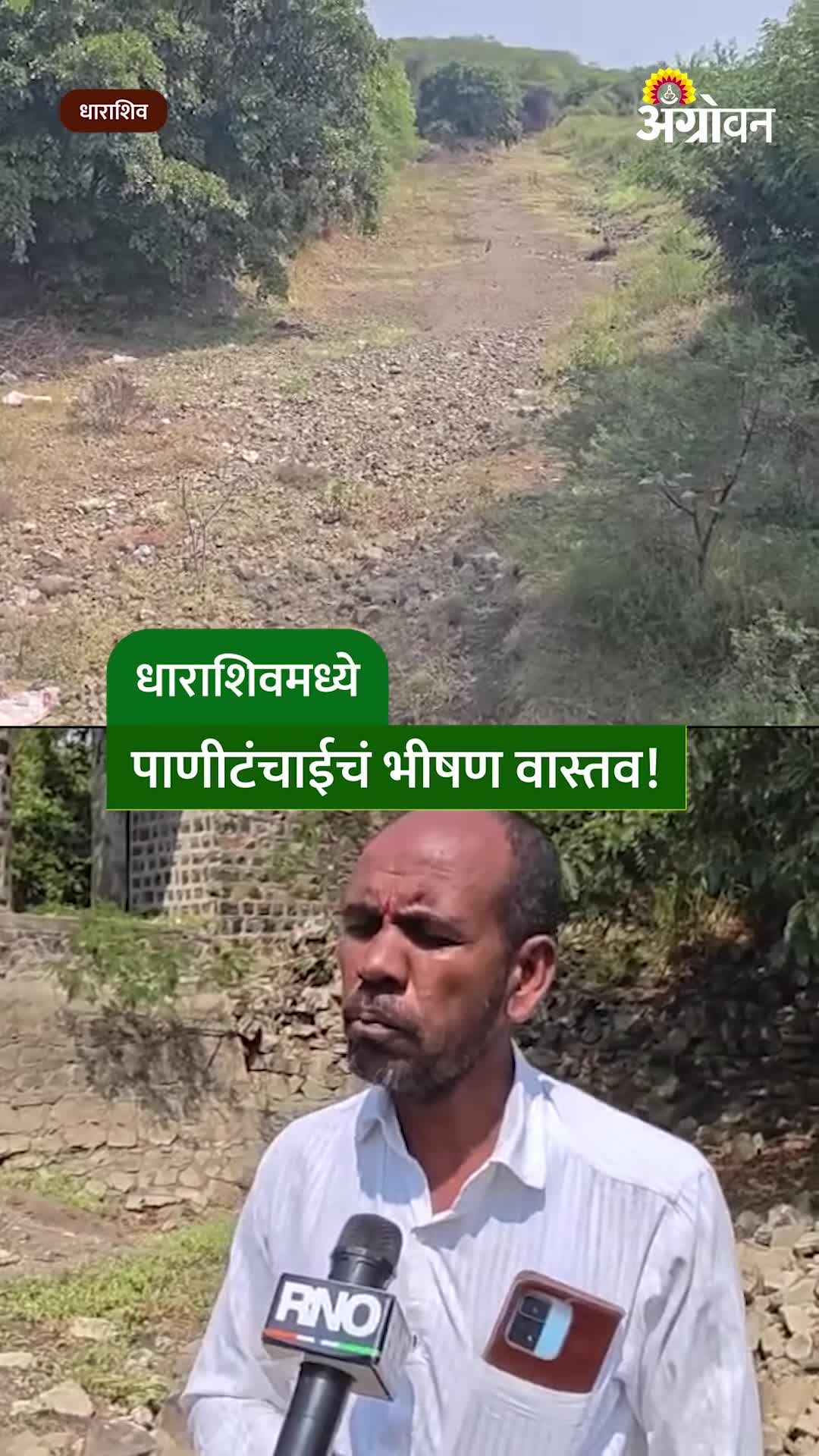 धाराशिवमध्ये दुष्काळाची तीव्रता वाढली; तेरणा नदी कोरडीठाक, शेतकरी हवालदिल