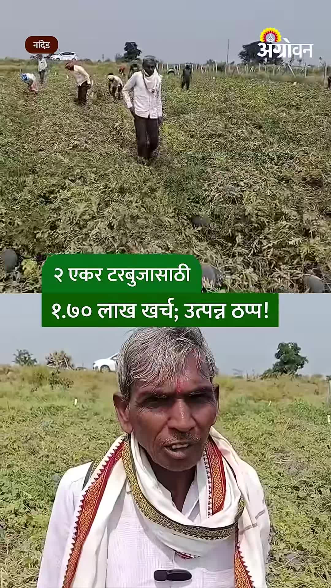 नांदेड: टरबुजाच्या शेतीला पाणीटंचाईचा फटका; २ एकरांसाठी १.७० लाख खर्च, उत्पन्न घटले