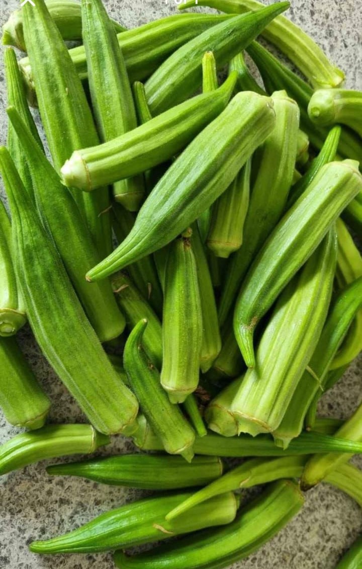Bhindi Seeds