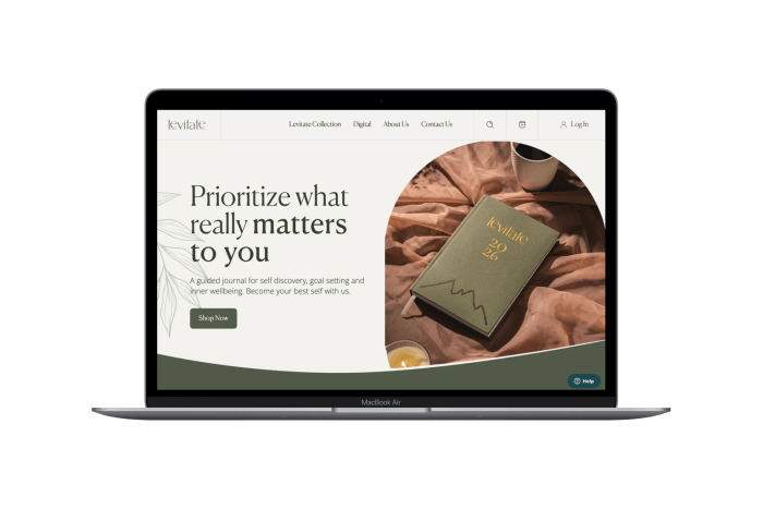 Levitate — website screenshot