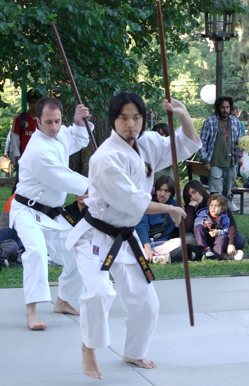 Bojutsu — fighting with the long staff