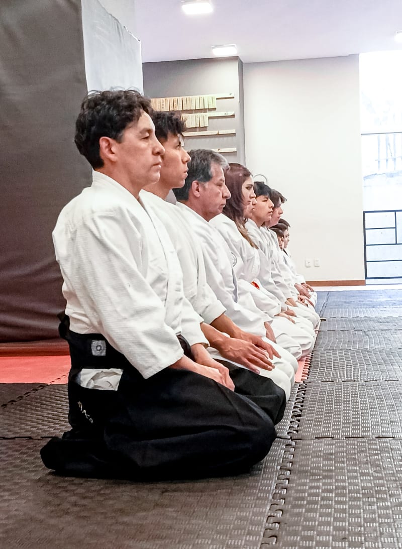 Aikido-Gruppe im Seiza beim Gruß, nach Graduierung aufgereiht