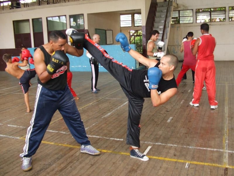 Savate — French kickboxing technique