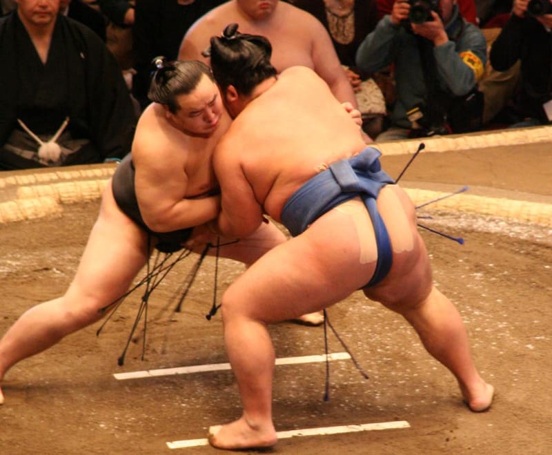 Sumo wrestling — rikishi in the ring