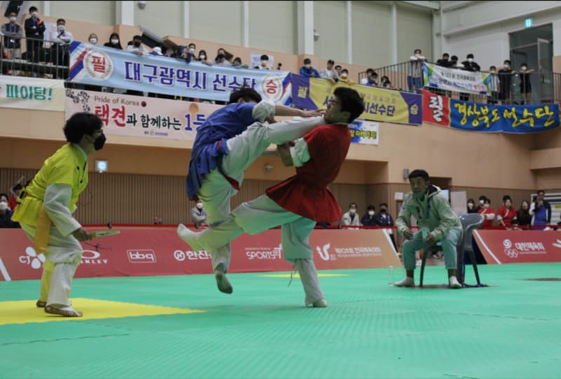 Taekkyeon — traditional Korean foot-fighting