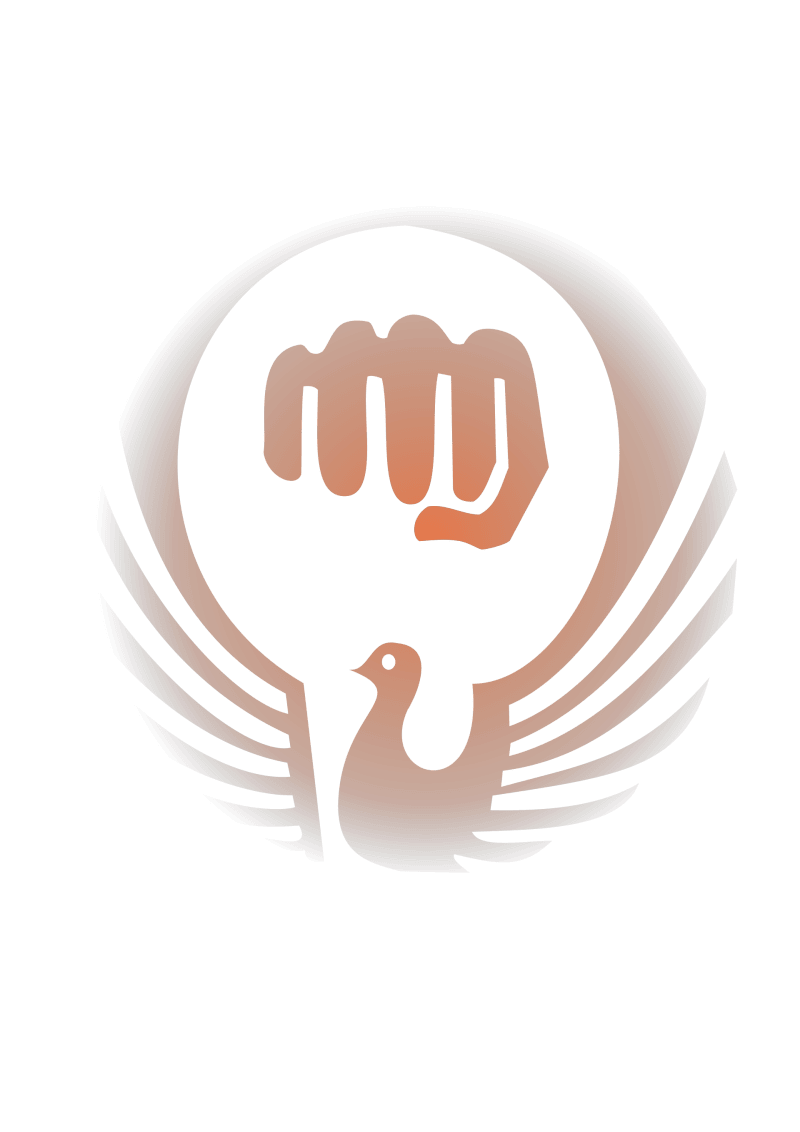 Die Flagge des Wadō-ryū Karate mit den Schriftzeichen 和道流