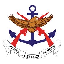 Leadership, Command and Control achievement badge