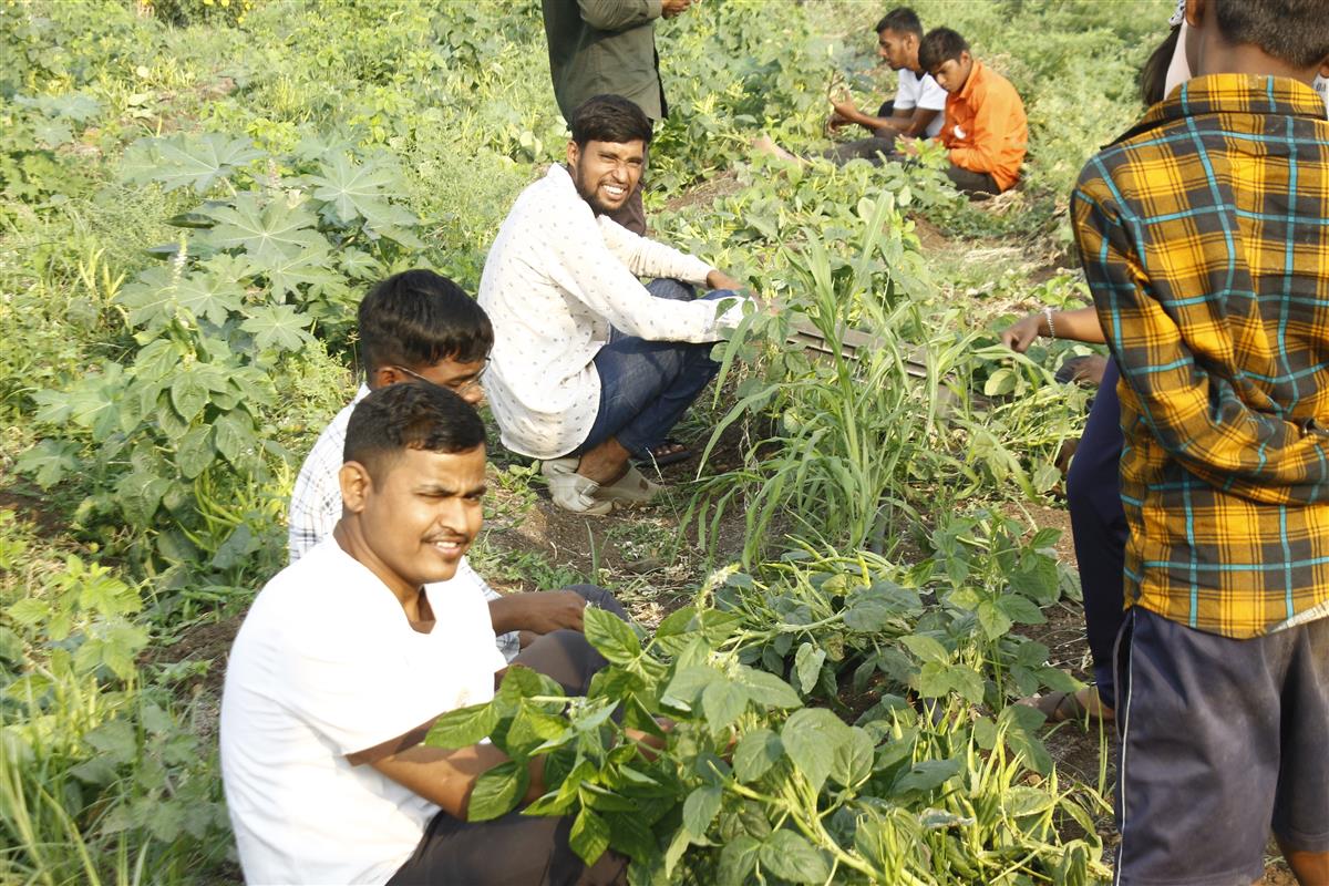 Natural farming at Balgram campus