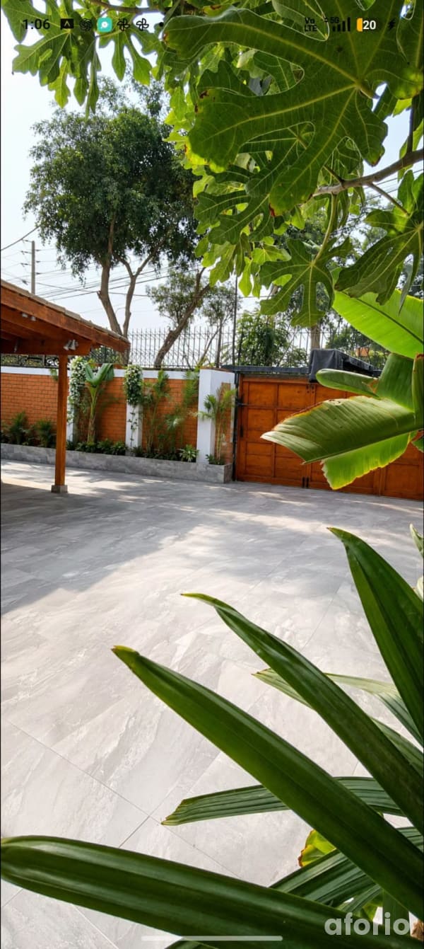 Patio amplio de losetas grises con pérgola de madera, jardineras y portón, rodeado de plantas tropicales