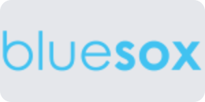 The Blue Sox Group logo