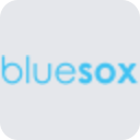 The Blue Sox Group logo