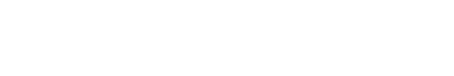 Conquest™ logo