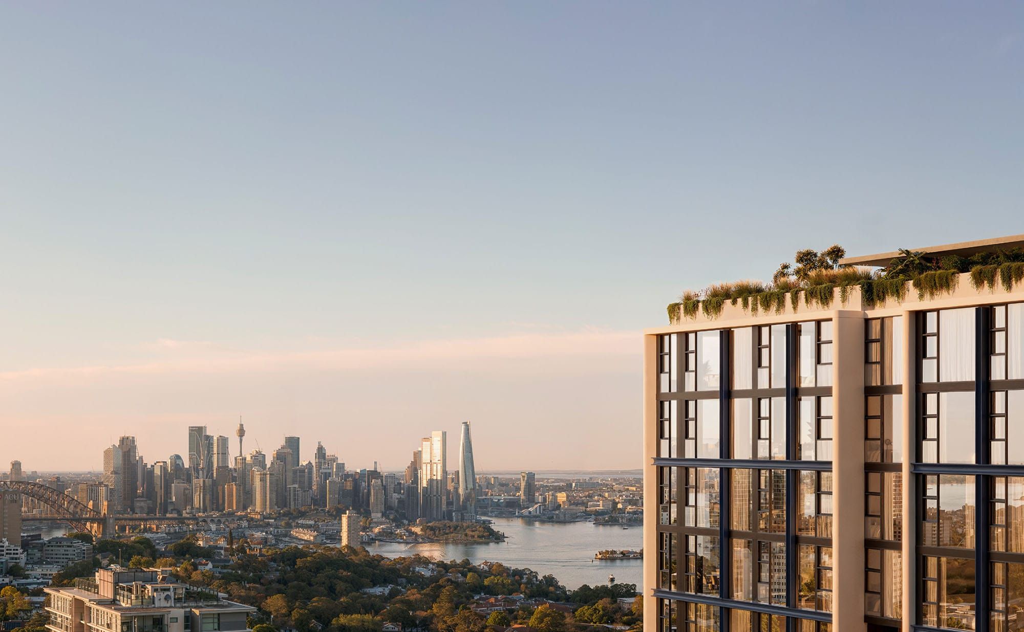 falconandalexander17 copy.jpg