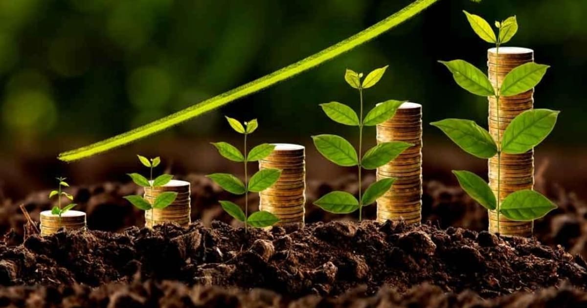 Beyond the Trading App: How Groww, Angel One, and Motilal Oswal Are Each Betting Their Future on Wealth — and Why Only One of Them Is Already Winning