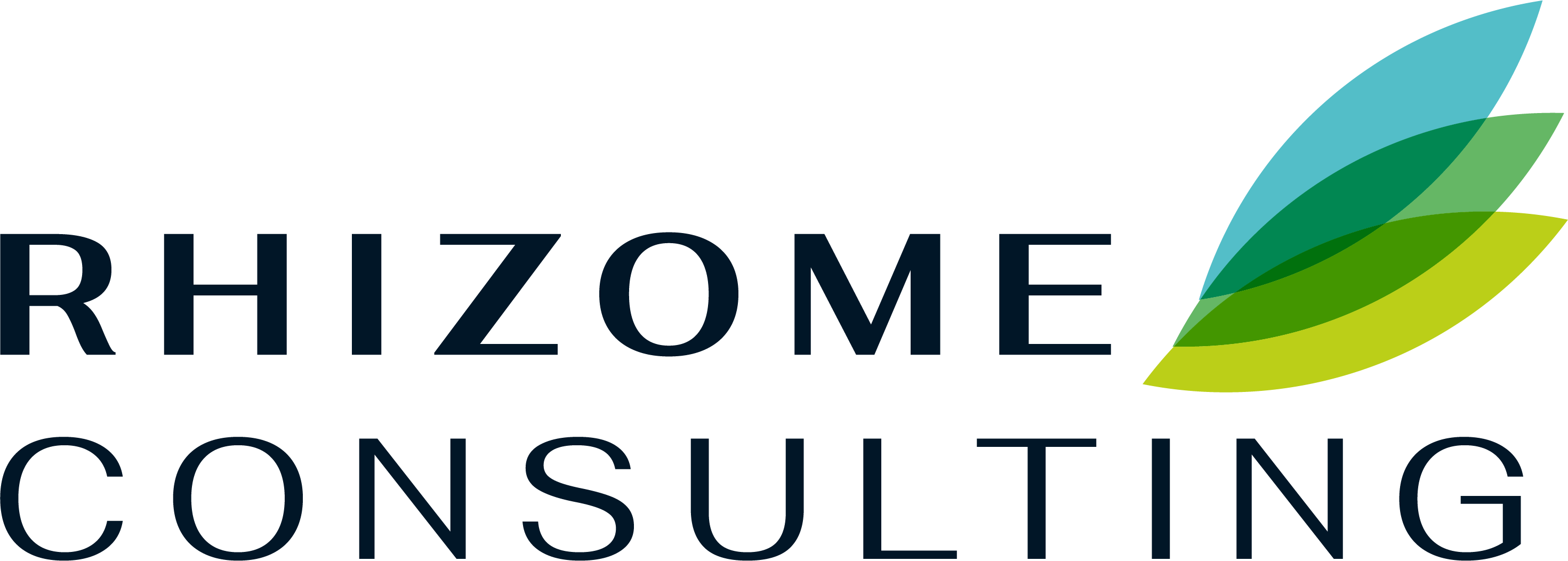 Rhizome Logo