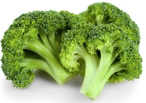 Foods That Increase Prolactin 12 Broccoli