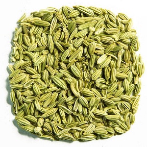 Foods That Increase Prolactin 13 Fennel