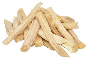 Foods That Increase Prolactin 14 Shatavari