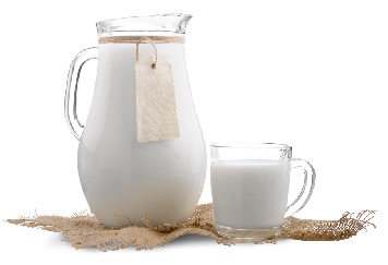 Foods That Increase Prolactin 17 Milk
