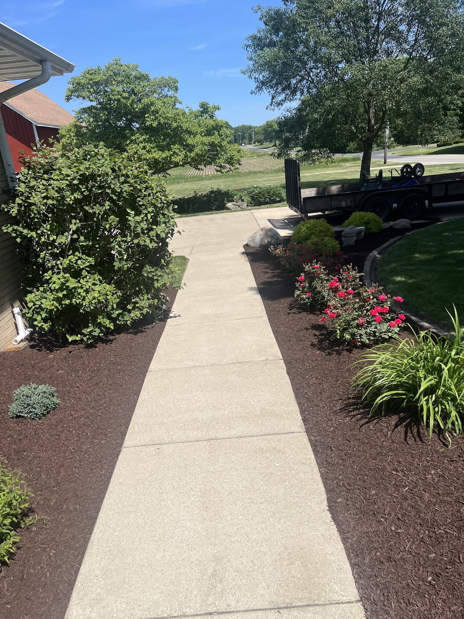 Landscaped walkway with fresh plantings and clean borders in Urbana, IL