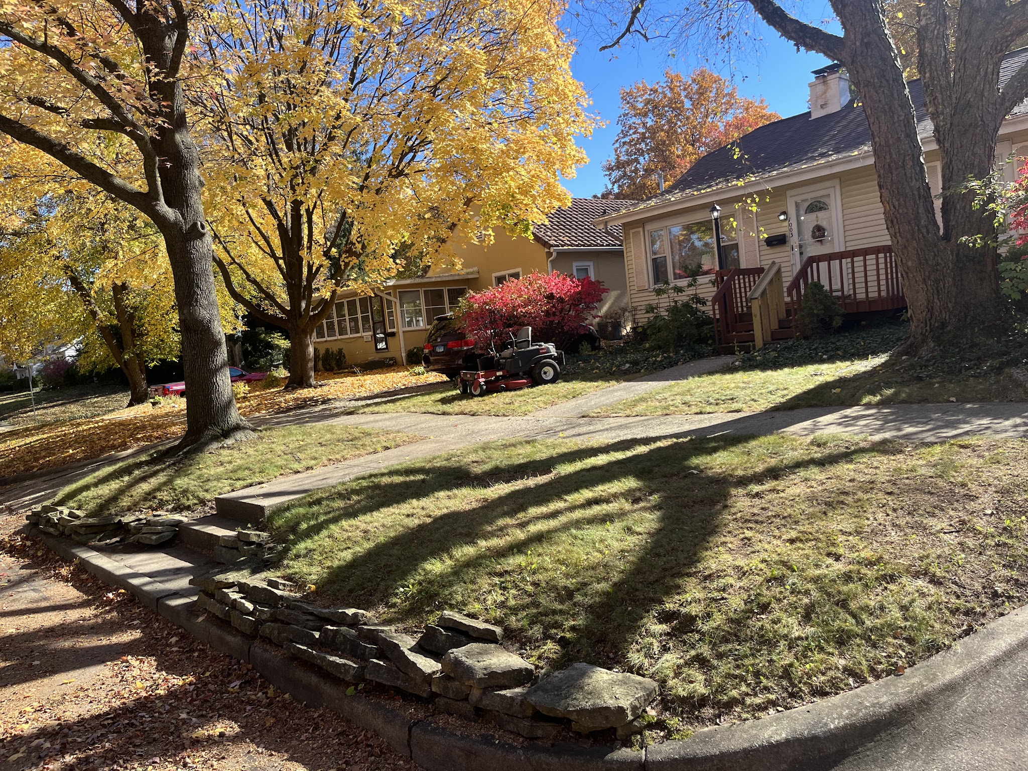 Mature tree trimmed and yard cleared of fallen limbs in Champaign-Urbana, IL