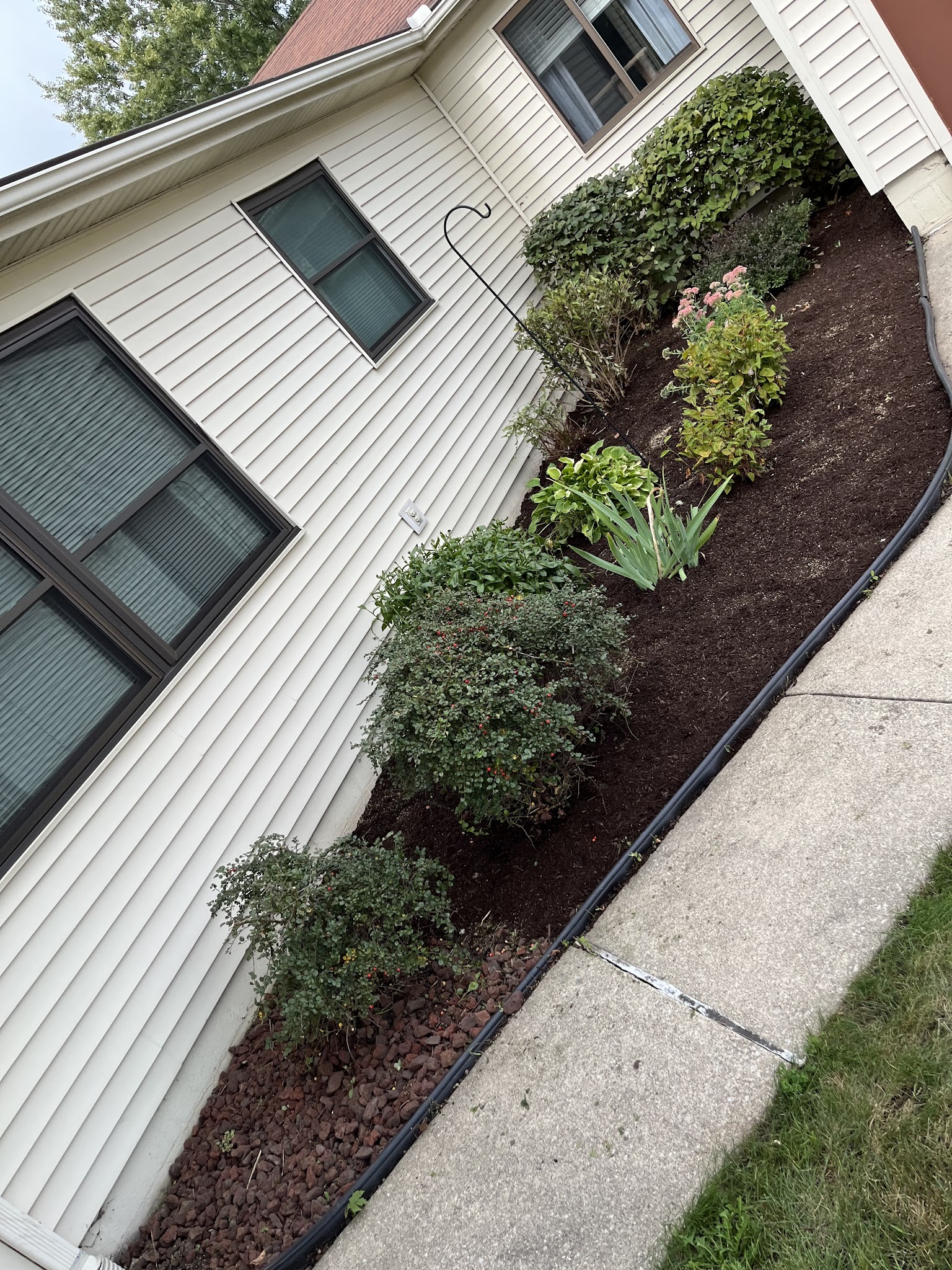 New foundation plantings and stone path along a home in Urbana, IL