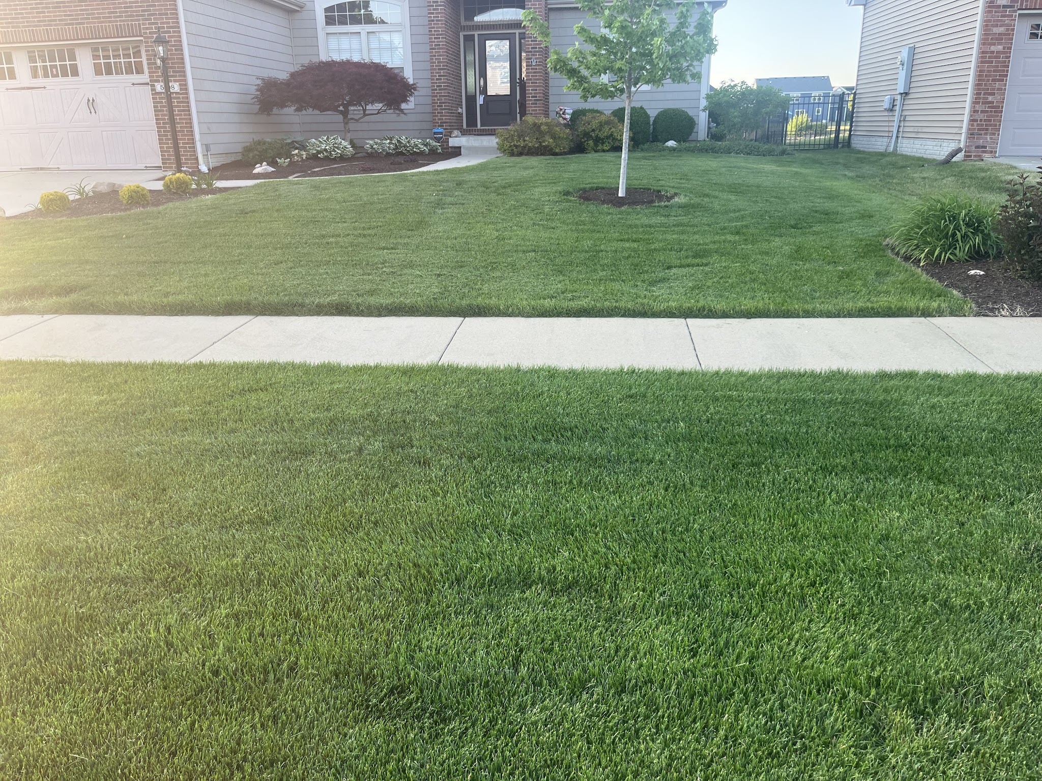 Healthy green lawn and fresh mulch bed at a Champaign-Urbana, IL home