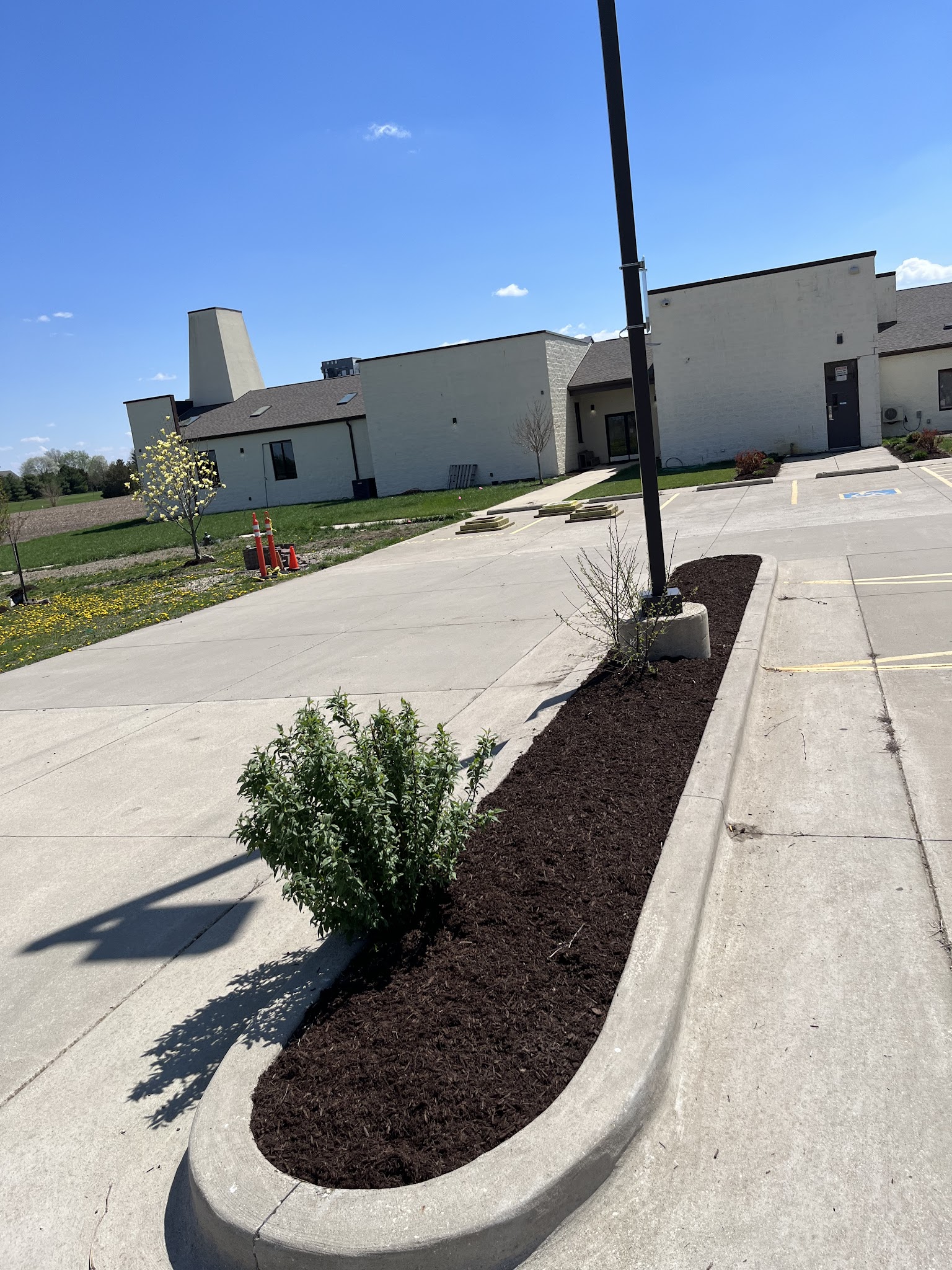 Curved mulch bed and shrubs at a commercial property in Champaign-Urbana, IL