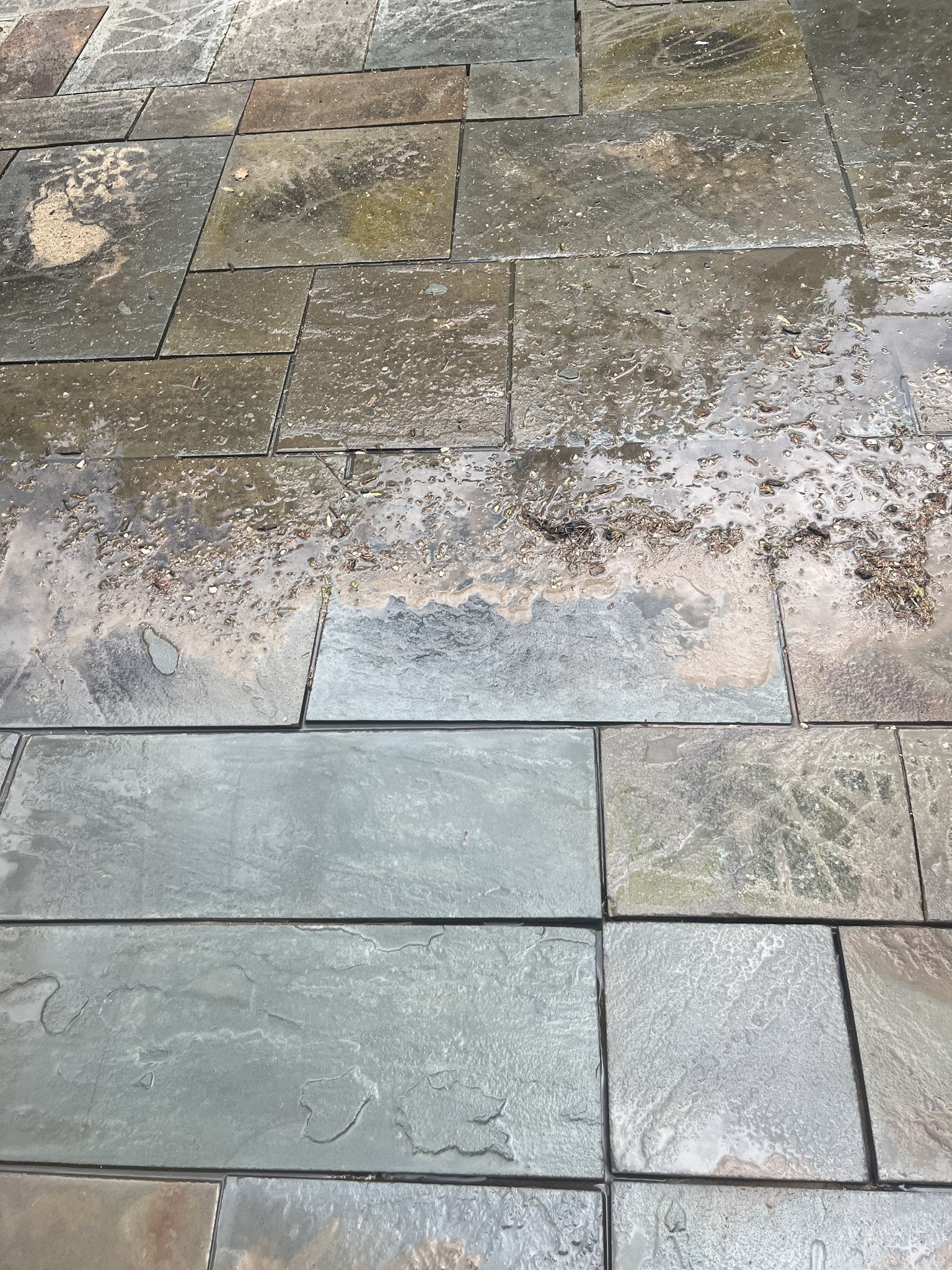 Large bluestone patio installed in a Champaign-Urbana, IL yard