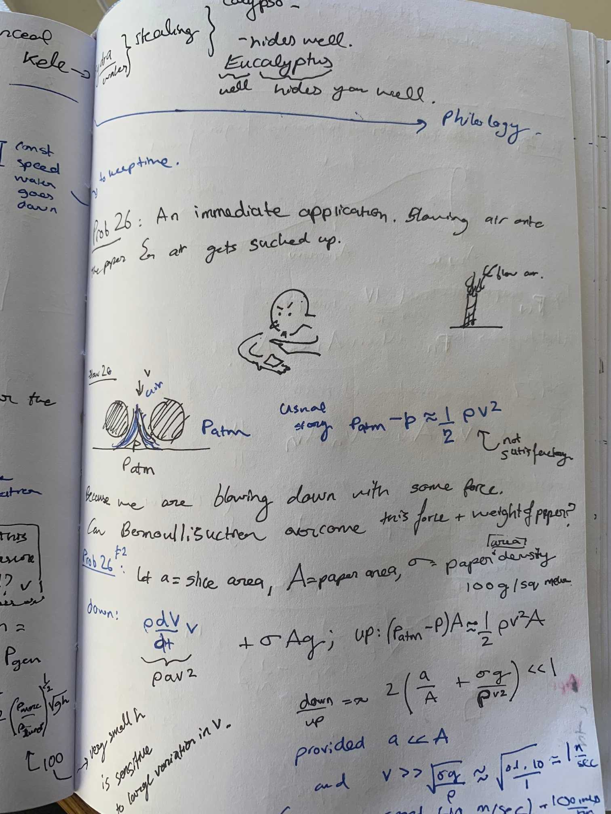 Bernoulli suction diagram