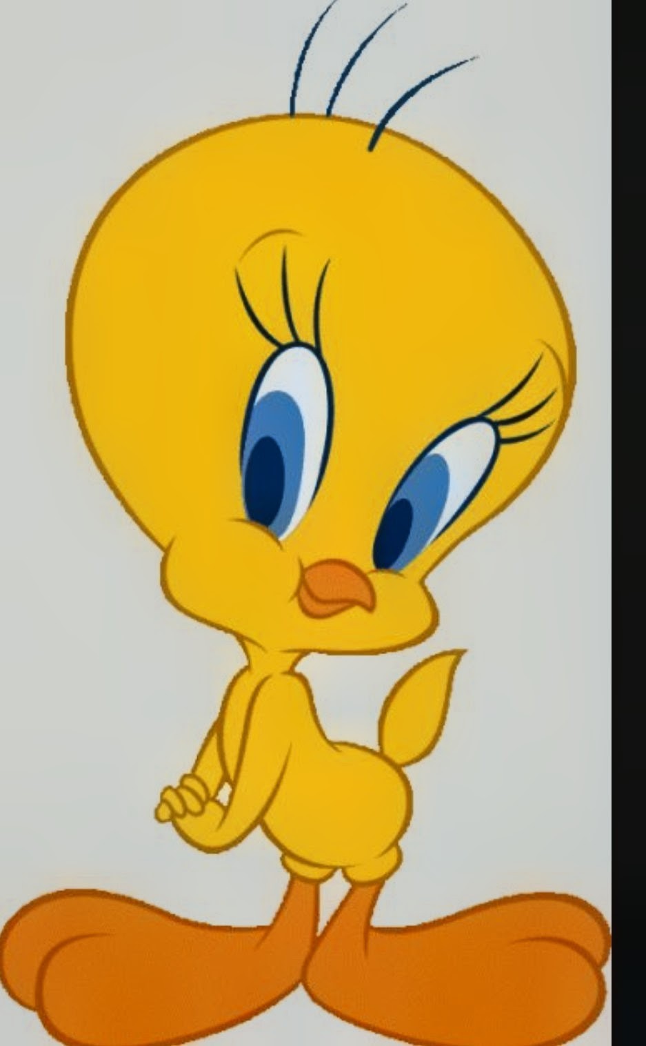 Cartoon images 