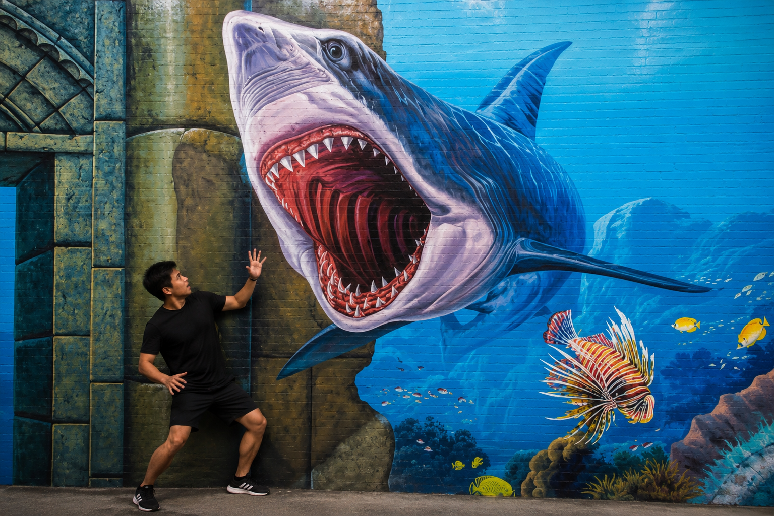 3D Megalodon Attack Wall