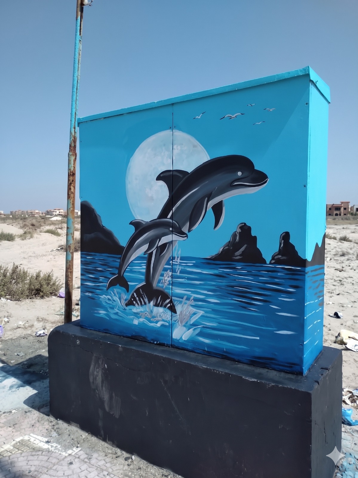 3d wall Collections