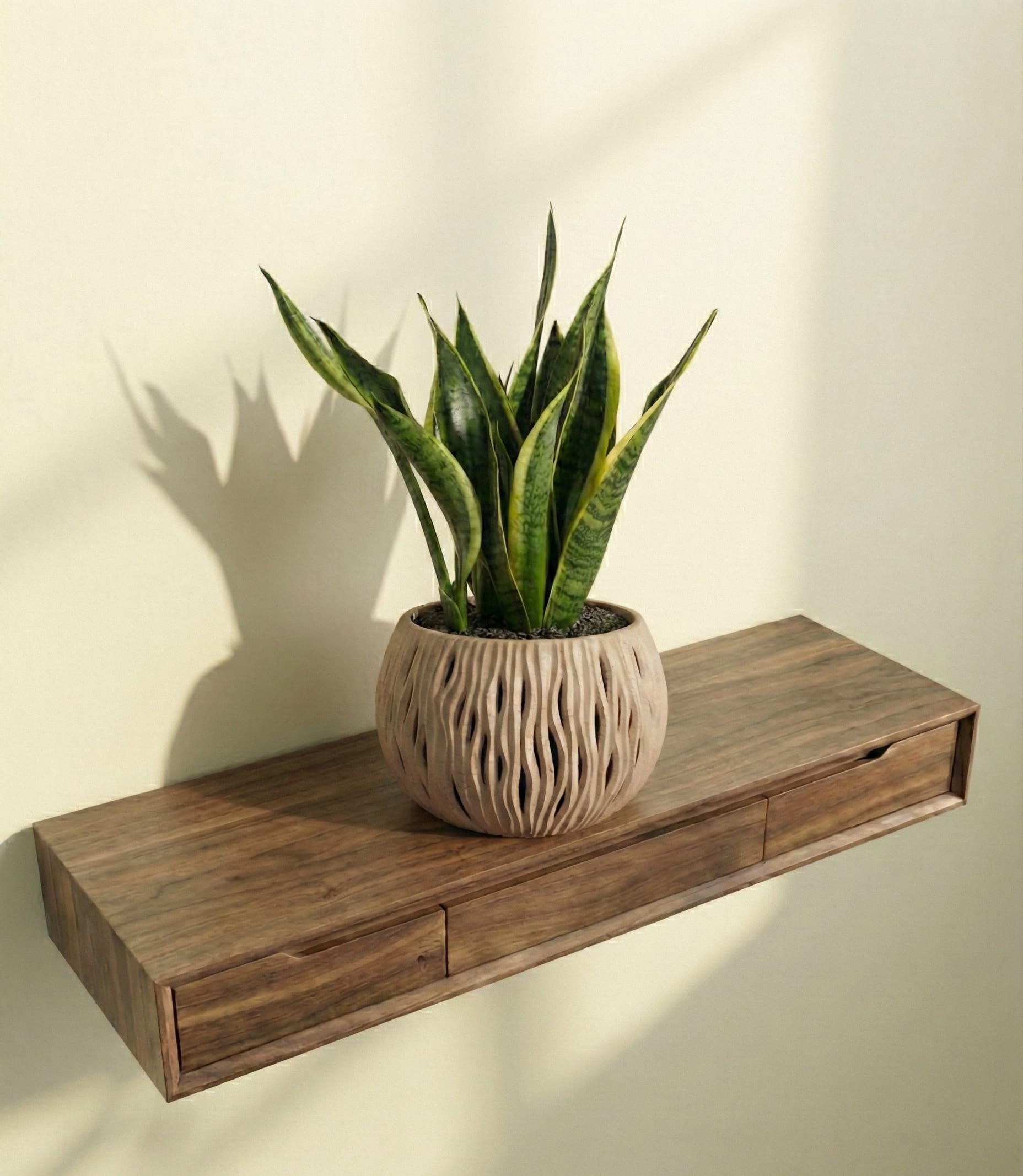 فازة نبتة جلد النمر الفاخرة