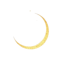 يوم التاسيس